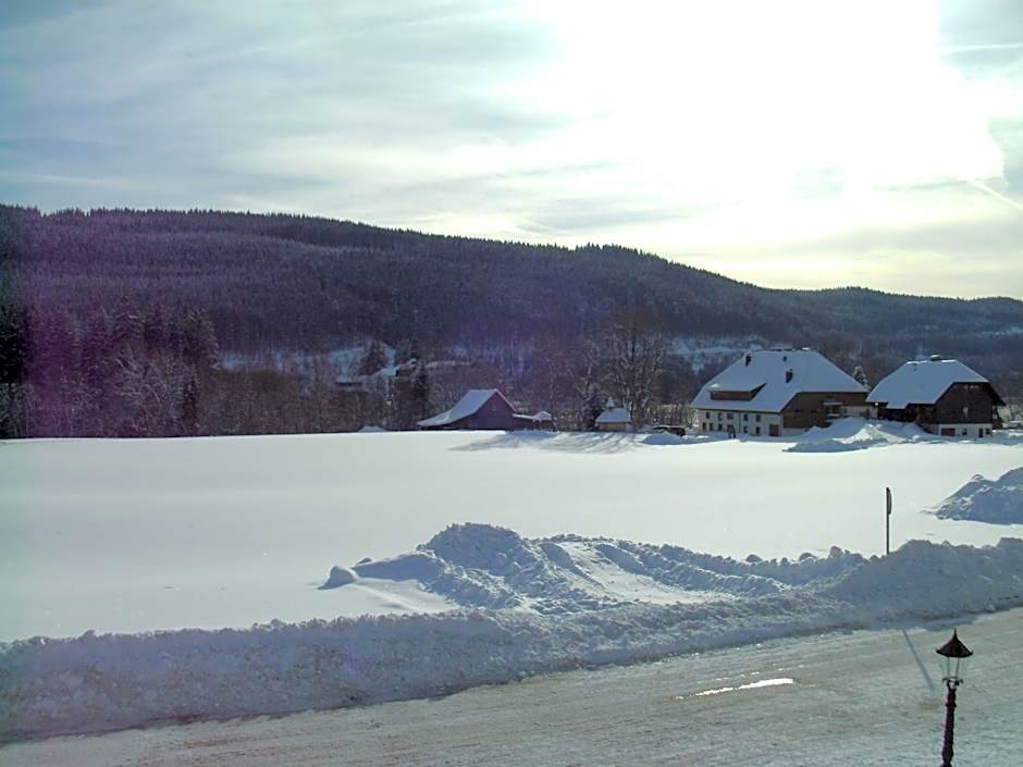 Hotel Rheingold Garni