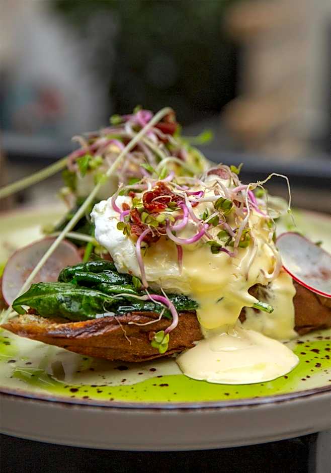 Apartamenty Sowa Toruń