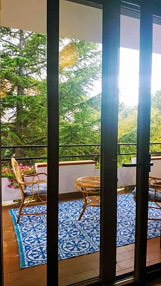 B&B Sophia