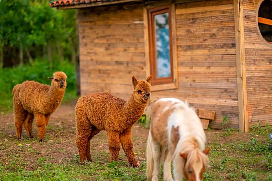 Alya Kartepe Villa Hotel