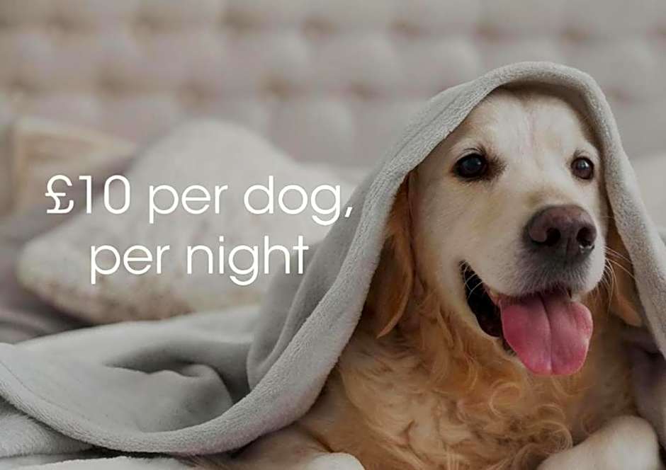 The Valley of Rocks Hotel