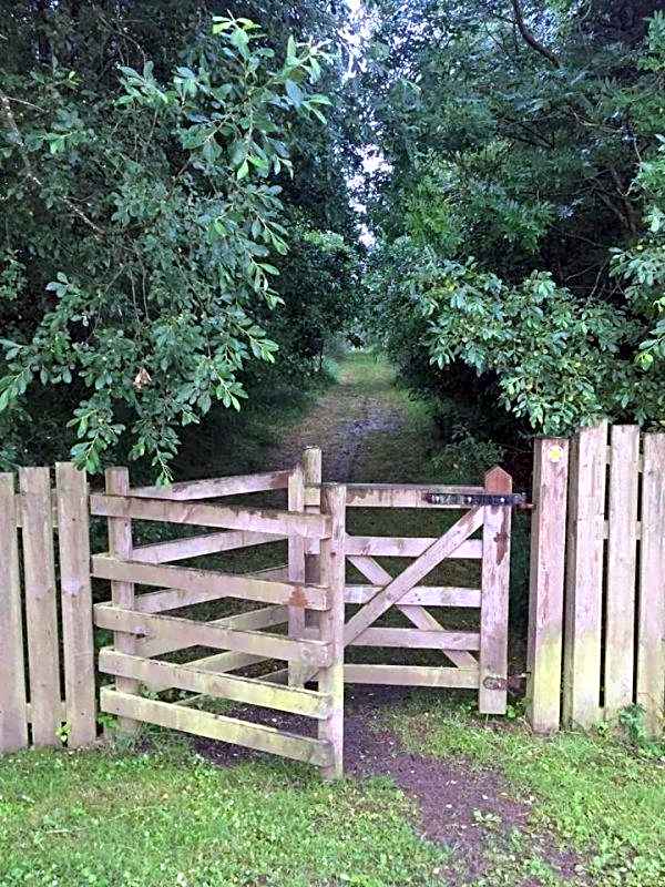 Otters Rural Retreat - Private Hot-Tub & Free Golf for guests included