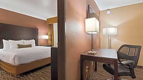 Suite - 1 King Bed, Nonsmoking, Jacuzzi, Sofabed