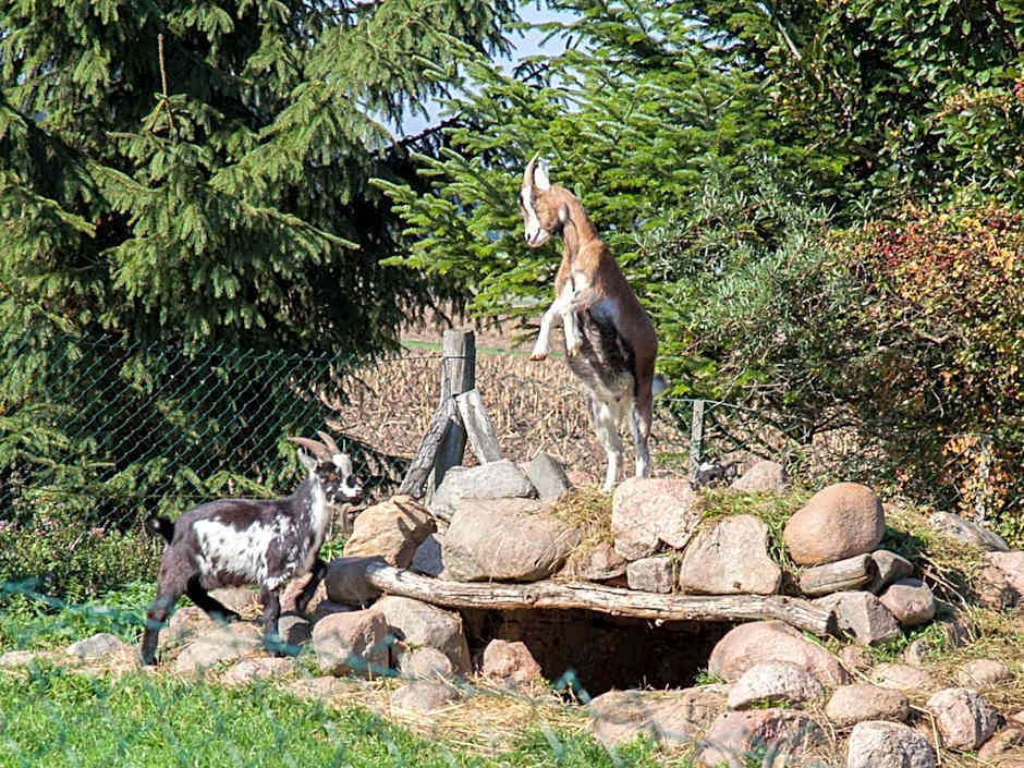 Landhaus Alte Schmiede
