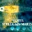 Stella Della Marina