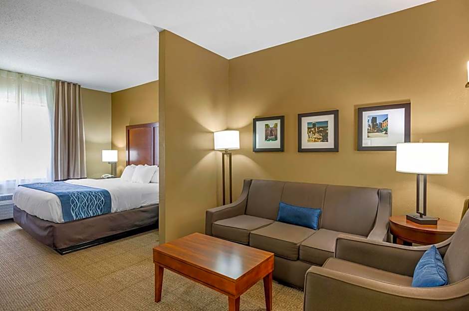 Comfort Inn & Suites Lynchburg Airport - University Area