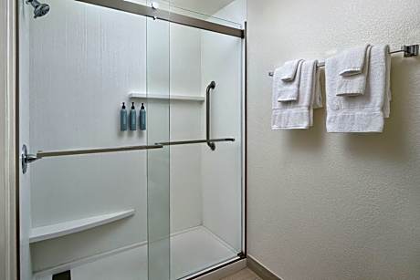 Suite, 1 Bedroom (1 King Bed and 1 Double Sofa Bed)