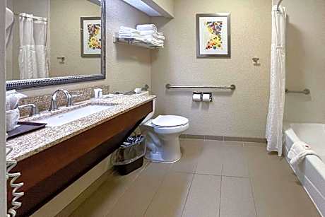 1 Double Bed, Nonsmoking, Accessible