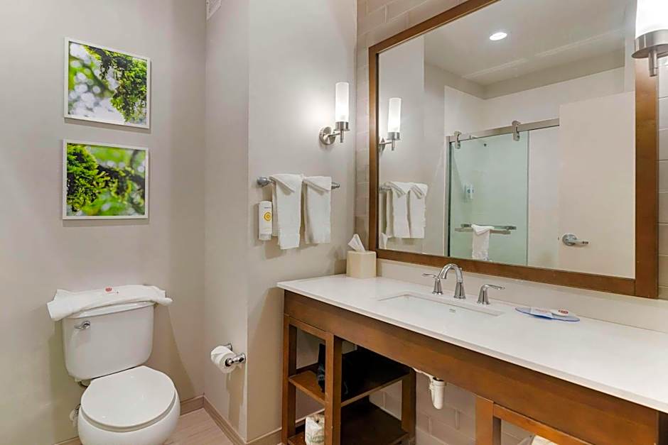 Comfort Inn & Suites Valdosta I-75