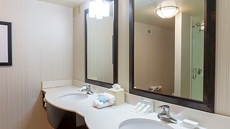 1 King Junior Suite Shower Only W/Sofabed