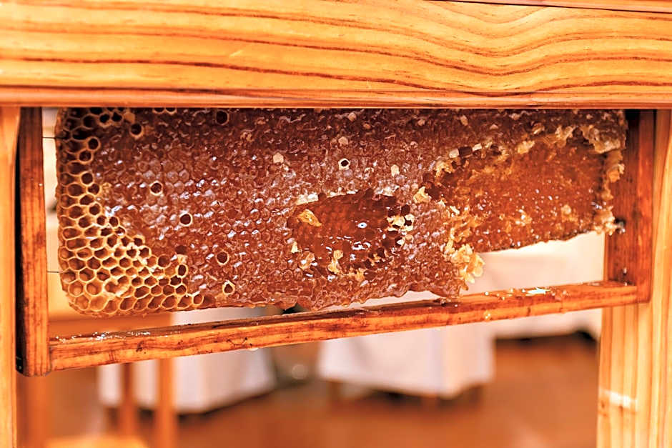 BIO Hotel - Hotel Quinta da Serra