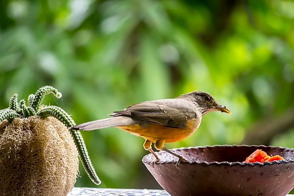untagged