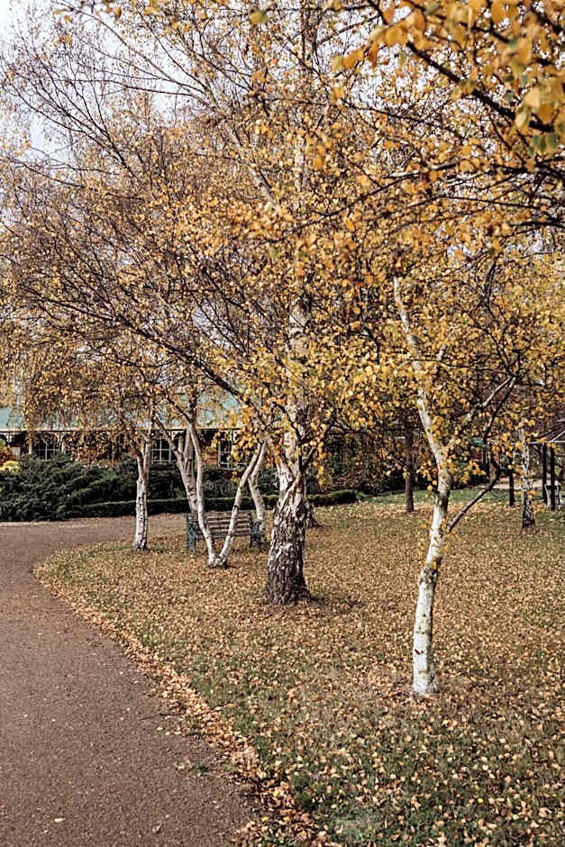 Green Gables B&B Waterfront Apartment or Garden Studio