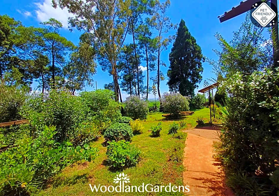 Woodland Gardens Self catering Pet Friendly Lodge