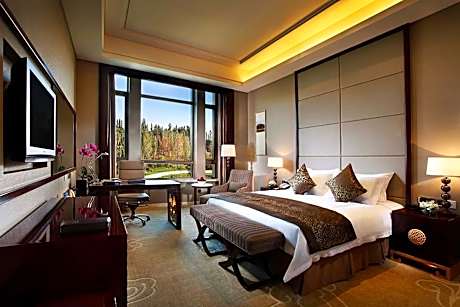 1 King 1 Bedroom Suite Lounge Access