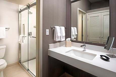 Suite, 1 Bedroom (1 King Bed and 1 Double Sofa Bed)