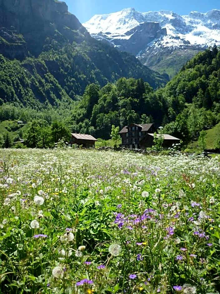 ALPENHOF Mountain Lodge