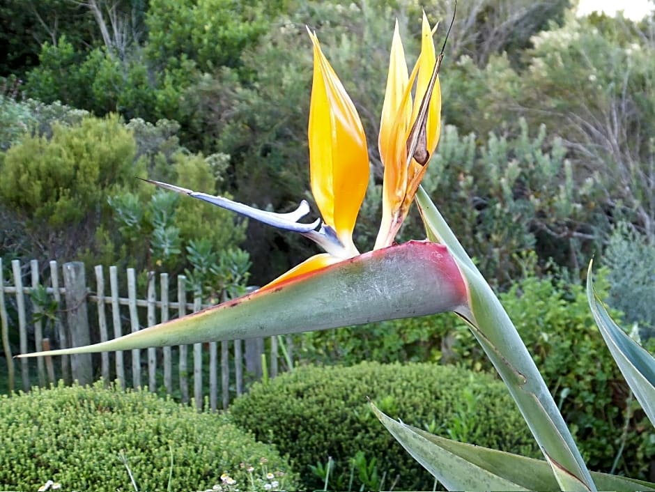 Blackwaters River Lodge