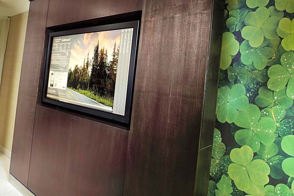 Courtyard by Marriott Detroit Brighton