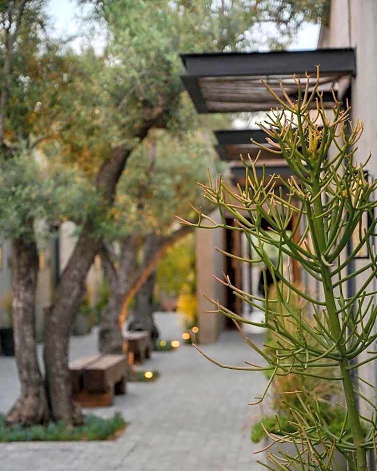 Hotel Andana Winery & Spa