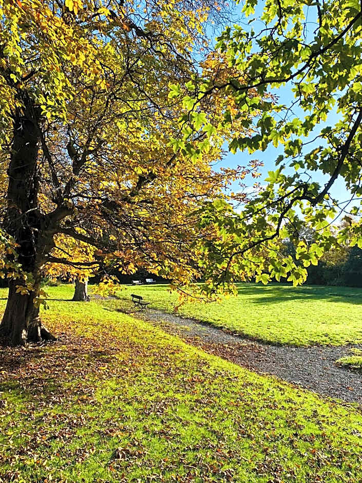 Endsleigh Park Hotel