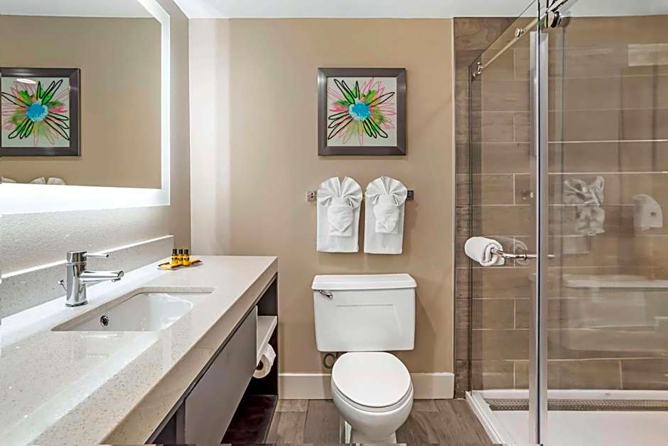 Best Western Plus Greenville I-385 Inn & Suites