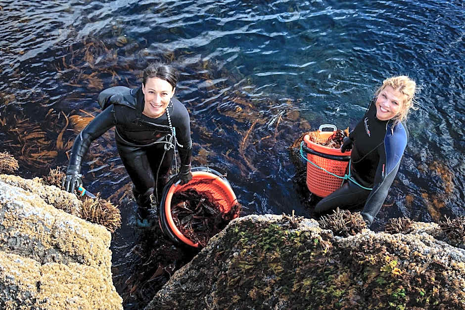 Brygga Restaurant & Room