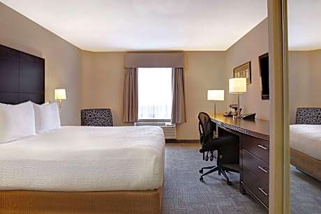 Business King Room - Non-Smoking