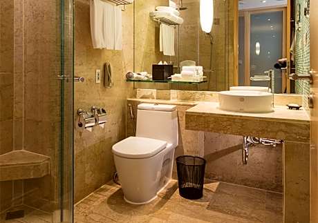 1 King Bed Standard Smoking