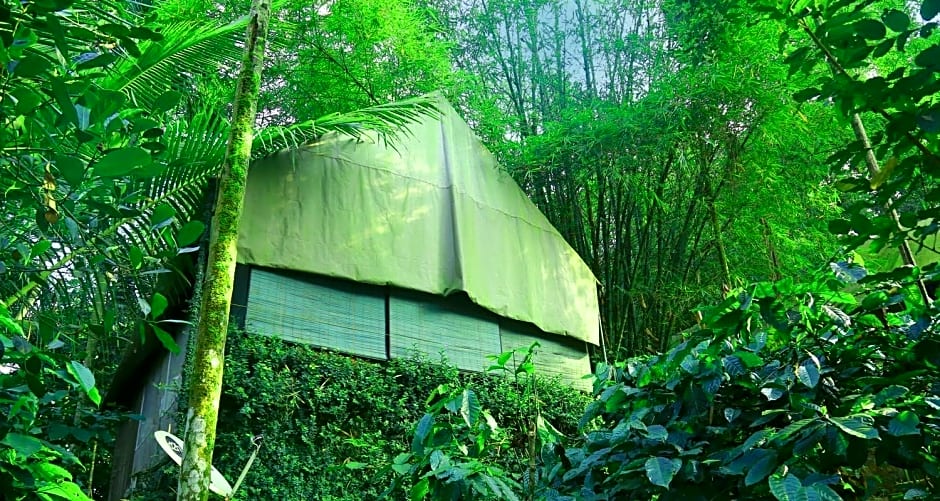 Grassroots Wayanad, Valley-view Tents