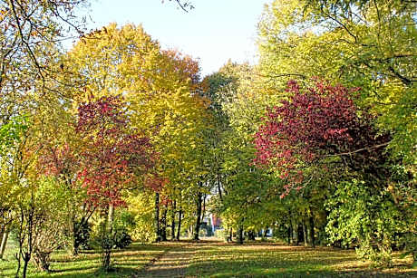 Hotel Pension Haus Stork