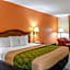 Econo Lodge Inn & Suites Gulfport