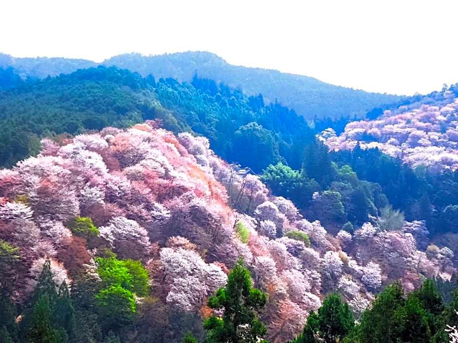 Yado Charinko