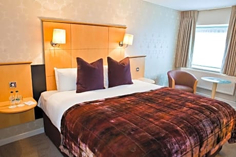 1 King Bed Non-Smoking Standard Room