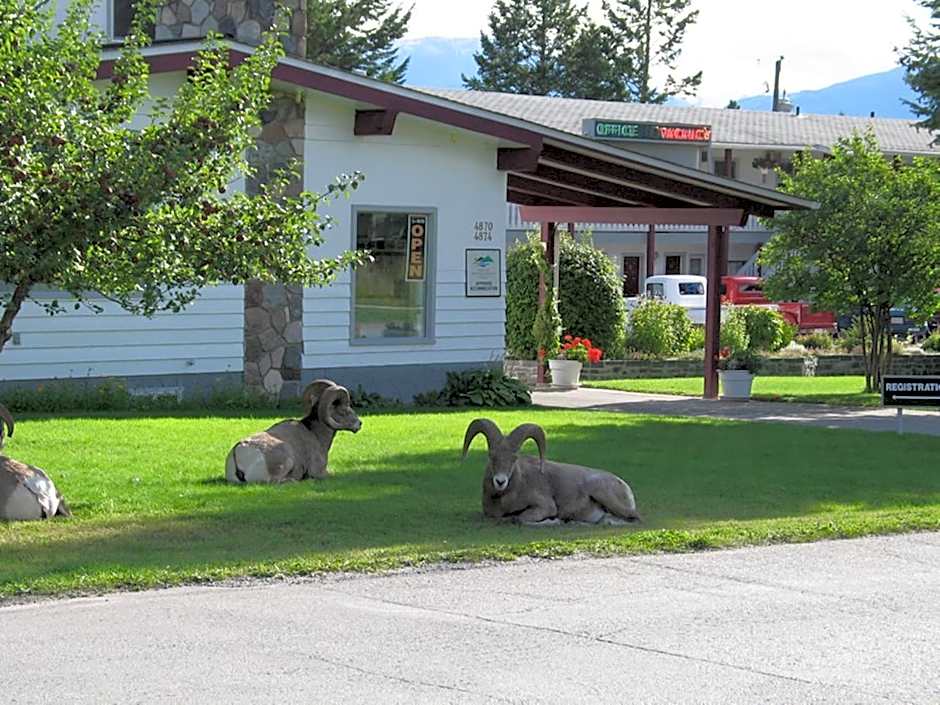 Mountain Springs Motel