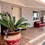 Half Acre Oceanfront Paradise With Private Pool, Jacuzzi, Fire Pit, Beach Access