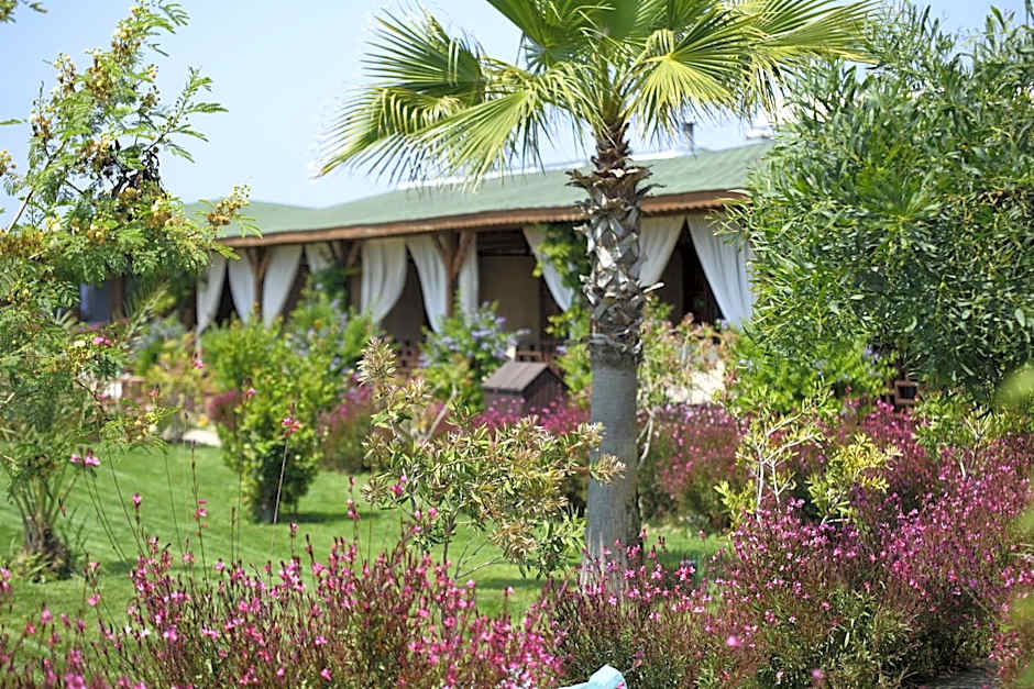 Flora Garden Beach Hotel - Adults Only 16 Plus - Couples Concept
