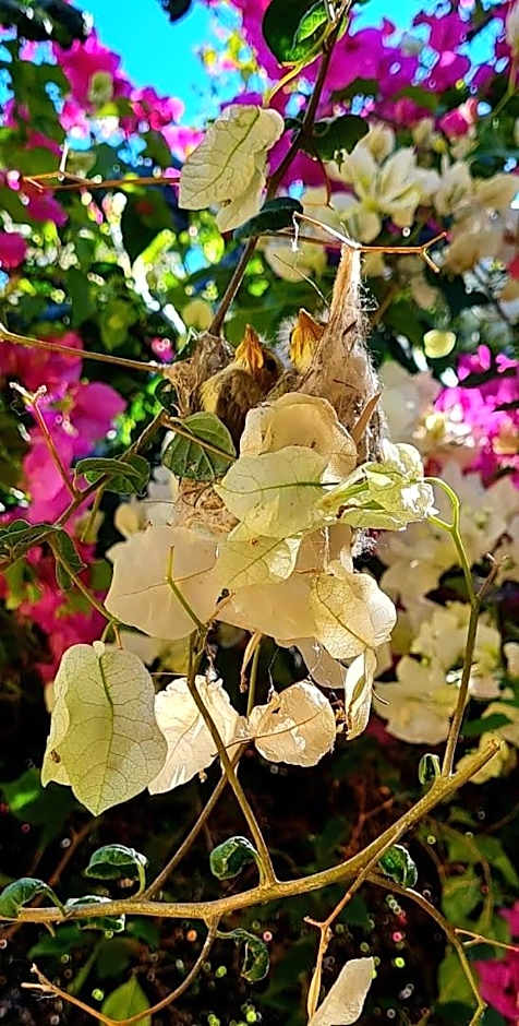 Ningaloo Lodge Exmouth