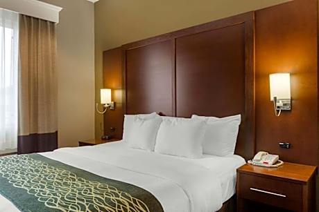 King Suite with Sofa Bed - Non-Smoking