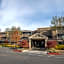 Maple Tree Inn