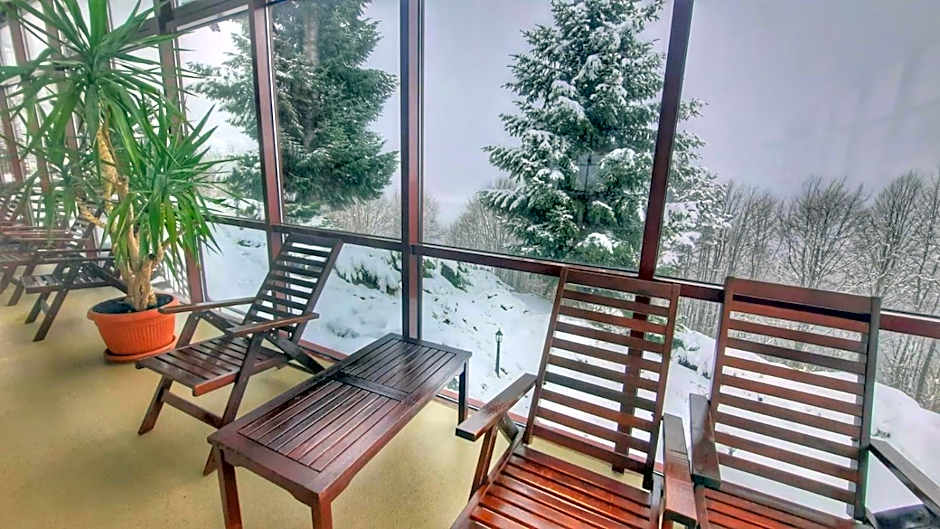 Hotel Valea cu Pesti