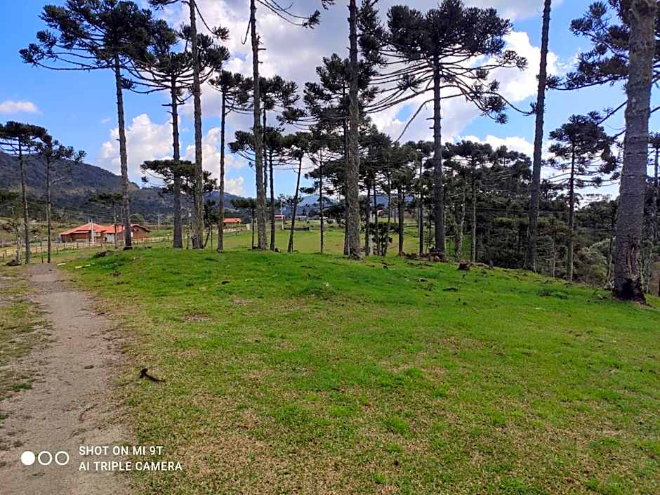 Cabanas das Araucárias