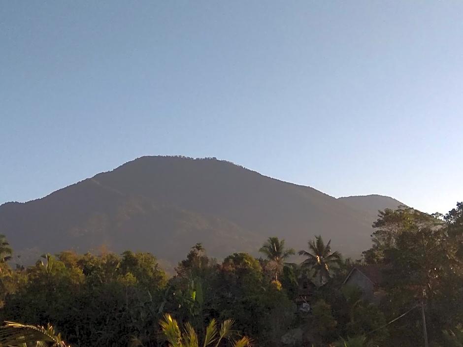 Bali mountain forest cabin
