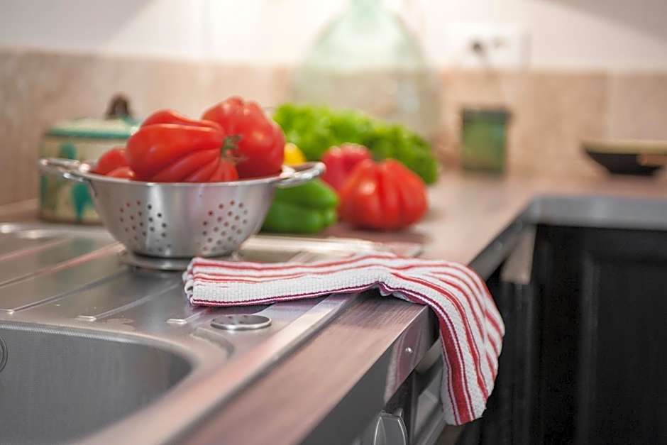 Chai du Chateau de Morteuil