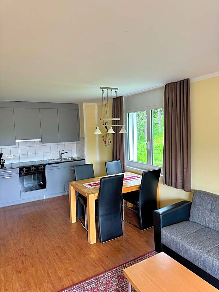 Aladin Apartments St Moritz