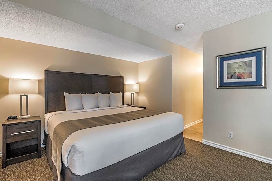 Chase Suite El Paso