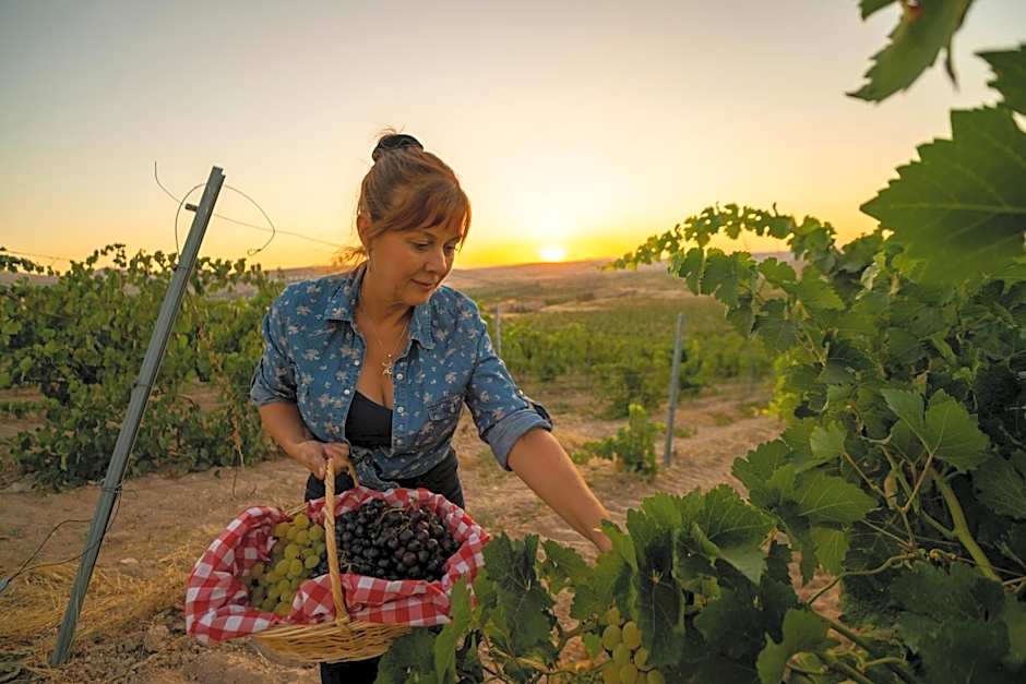 SUNOLUS VINEYARDHOUSe