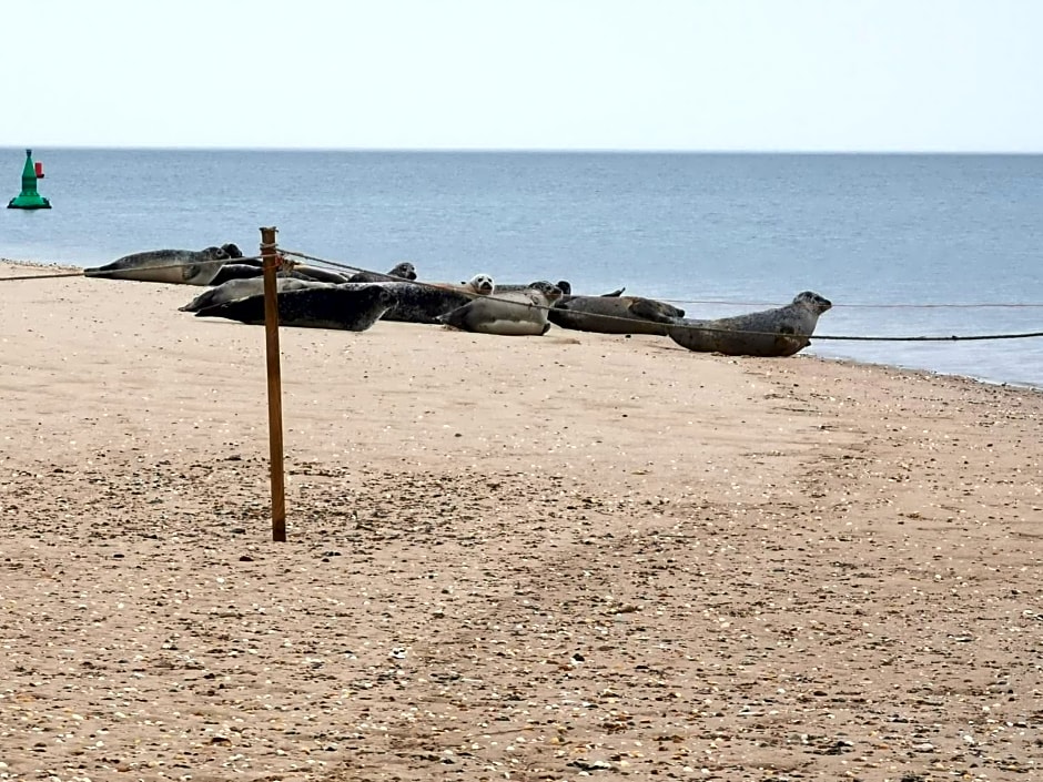 AnchorageWells Entire Cottage OR a King Ensuite on Room Only