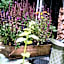 Grundfør bed and breakfast