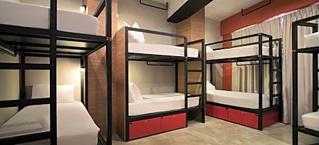 Upper Bunk Bed in Mixed Dormitory Room